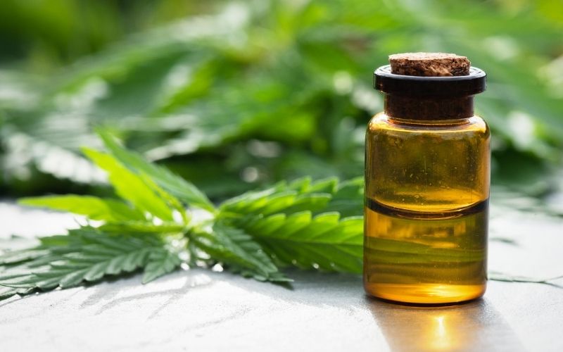 cbd oil next to hemp leaf