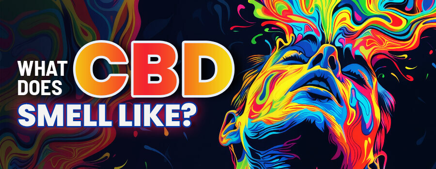 What Does CBD Smell Like? Does it smell like weed?