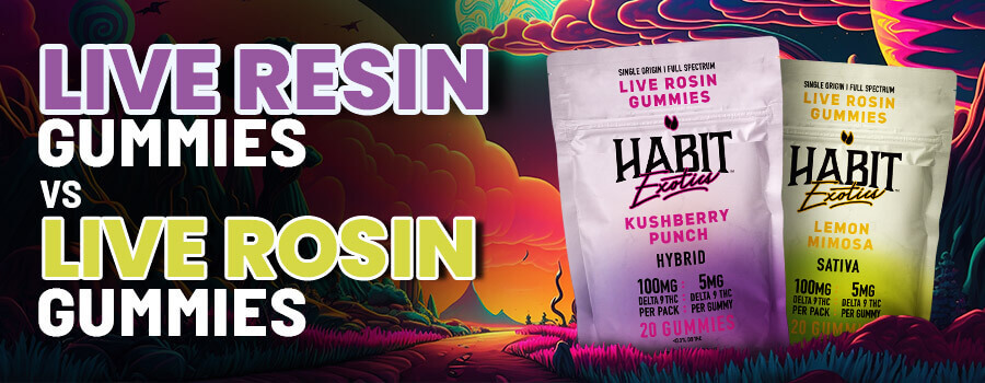 Live-Resin-vs-Live-Rosin-Gummies