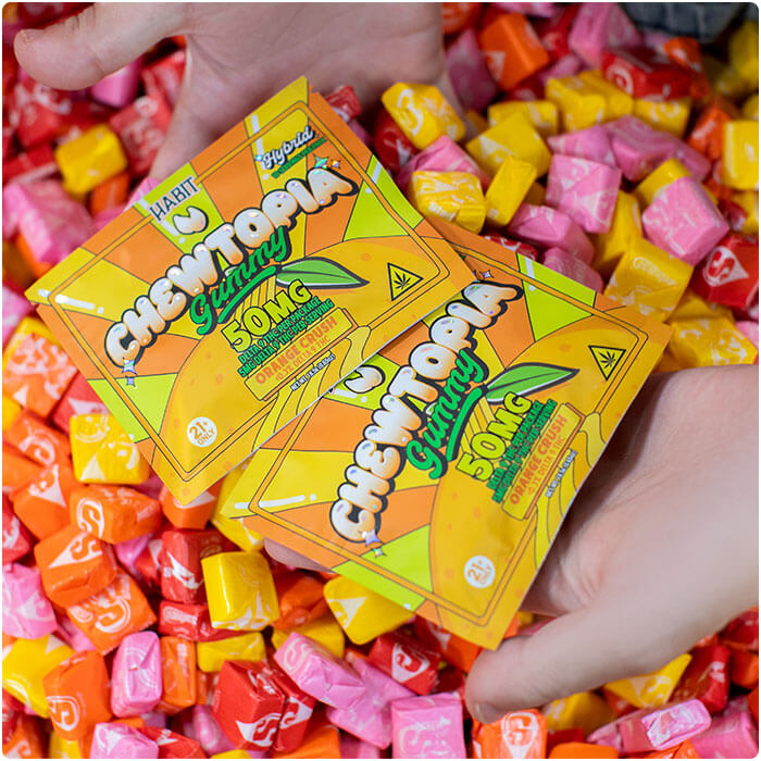 CHEWTOPIA 50mg Delta-9 Gummies – Orange Crush
