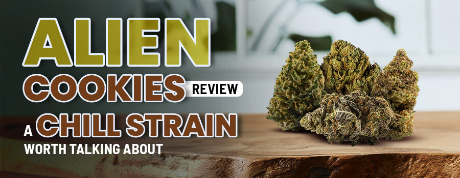 Alien Cookies Strain