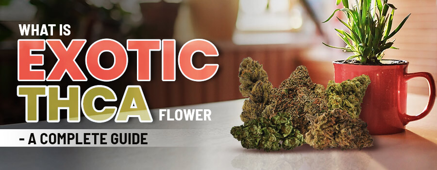 What is Exotic THCa Flower