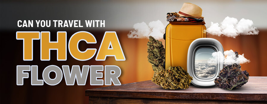 Can You Travel with THCA Flowers in 2025?