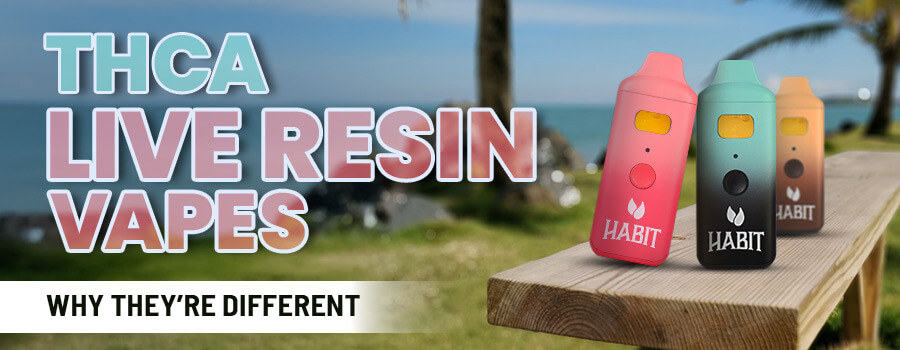 THCA Live Resin Vapes: Why They’re Different