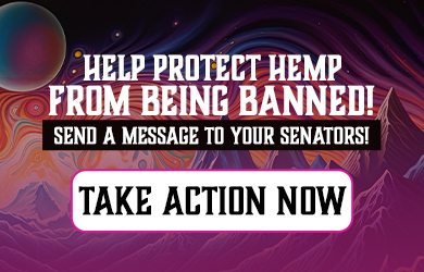 hbait-cbd-26-nov-2025-mobile 1